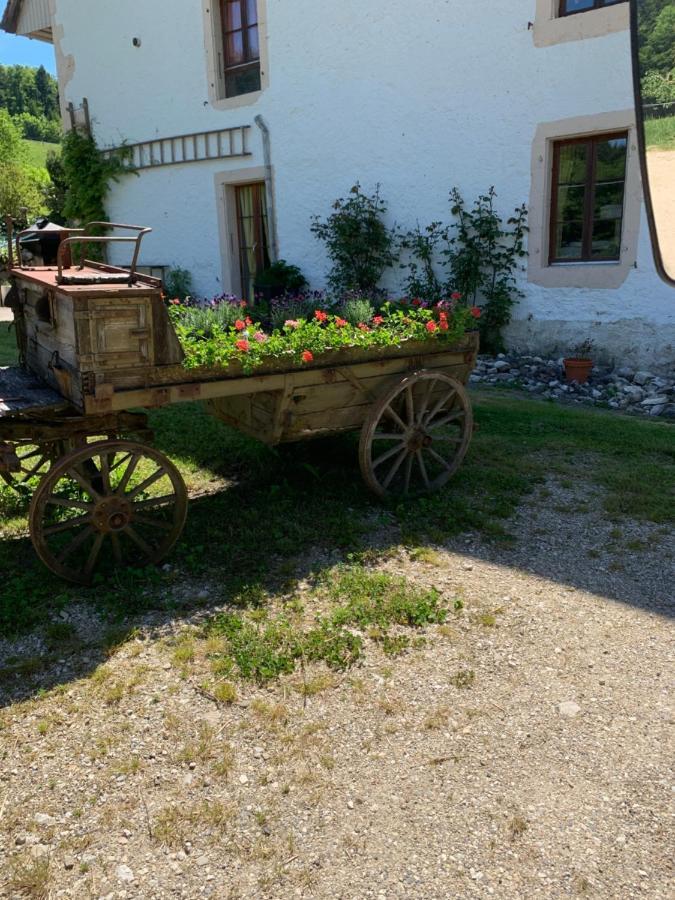 Bed and Breakfast Chez Dodo 2534 Orvin Le Foncet Evilard Exterior foto