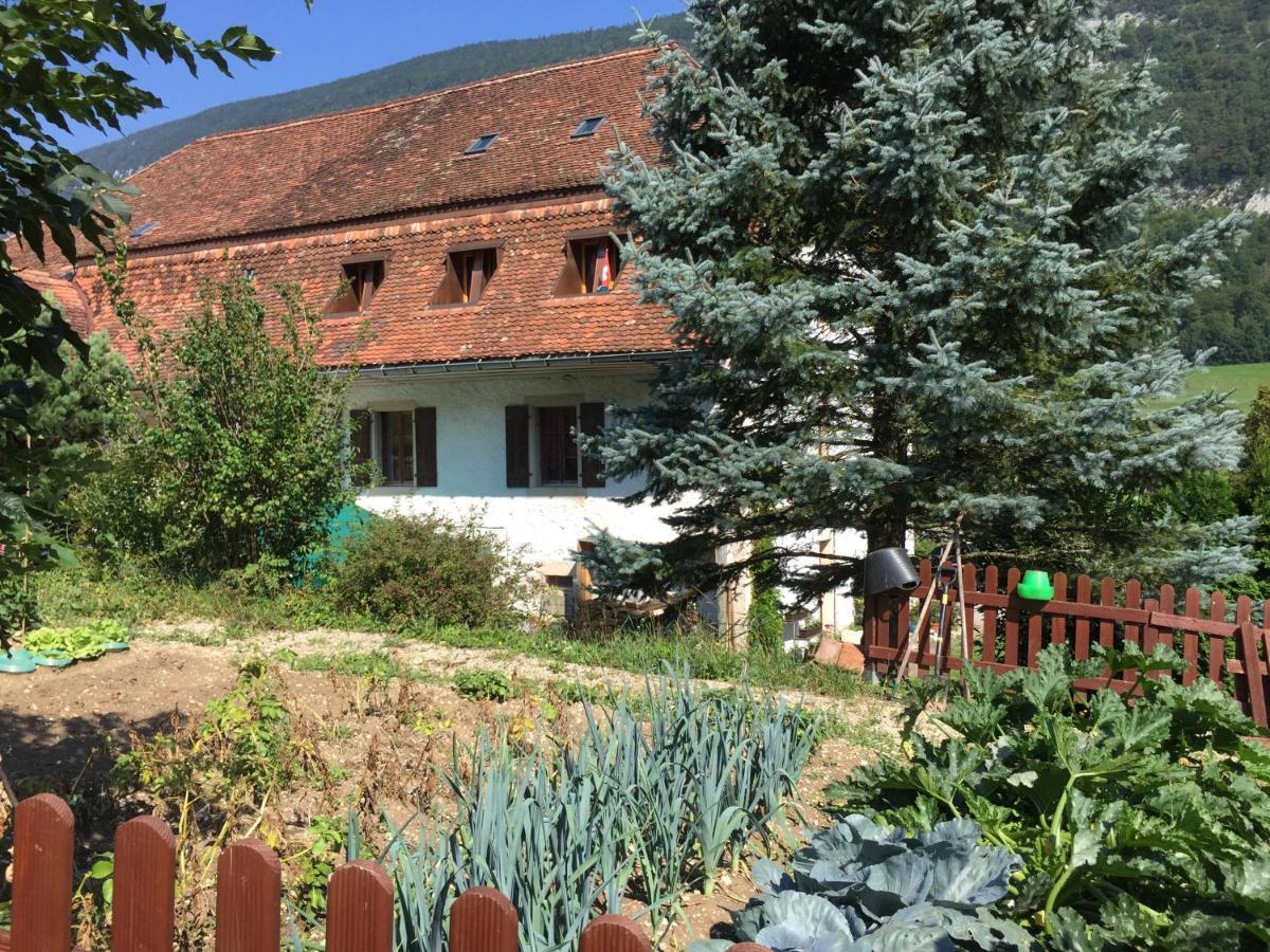 Bed and Breakfast Chez Dodo 2534 Orvin Le Foncet Evilard Exterior foto