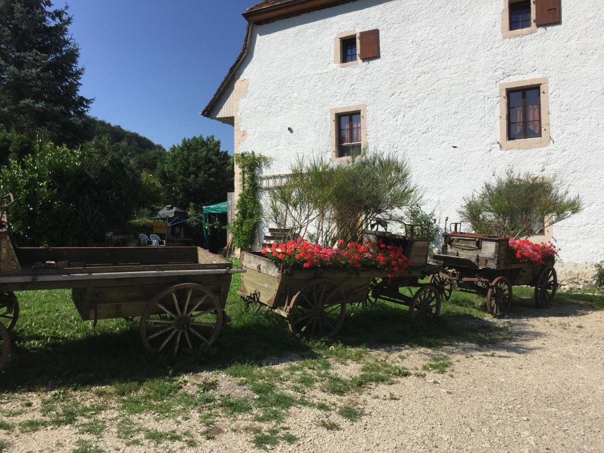 Bed and Breakfast Chez Dodo 2534 Orvin Le Foncet Evilard Exterior foto