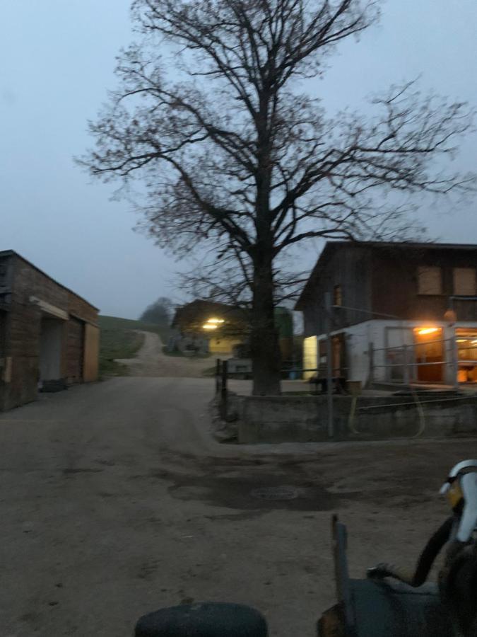 Bed and Breakfast Chez Dodo 2534 Orvin Le Foncet Evilard Exterior foto